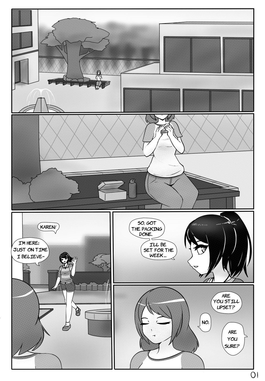 Karen Risks it cover