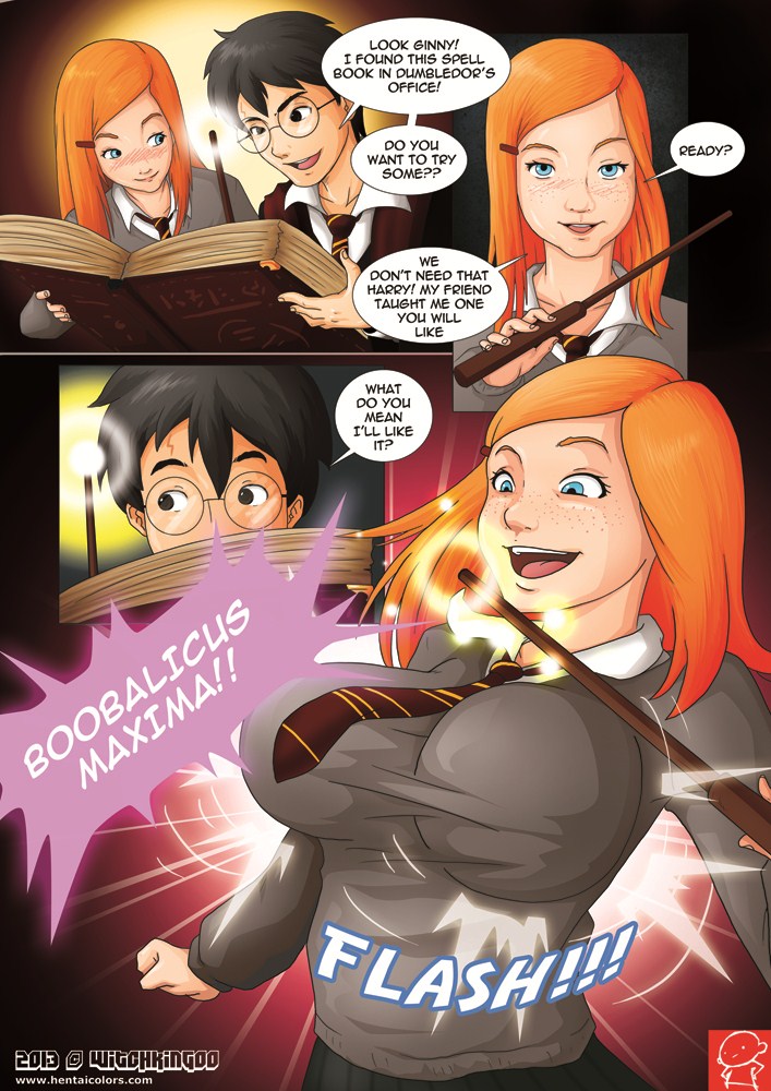 Harry Potter and the Forbidden Spells cover