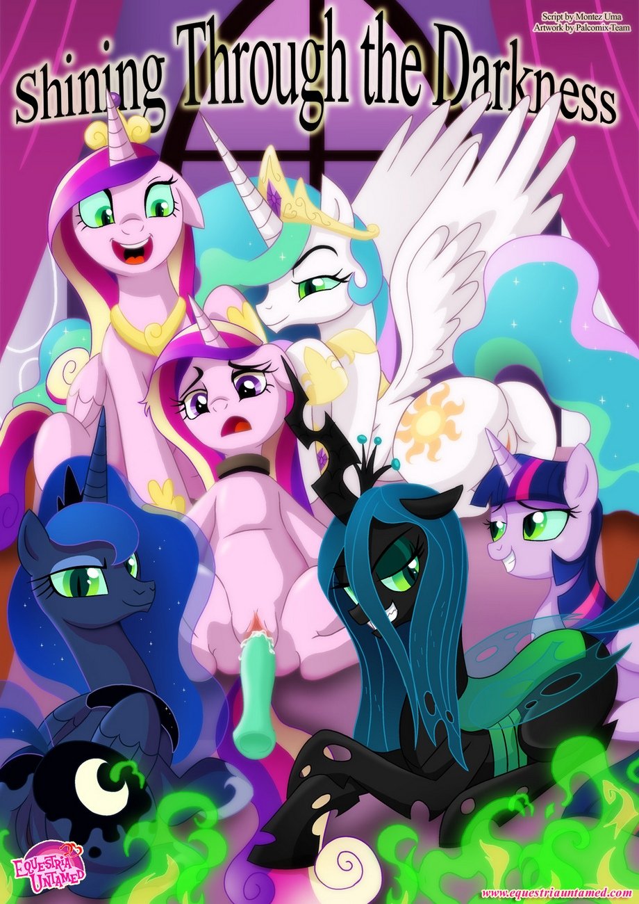 shining through the darkness cover