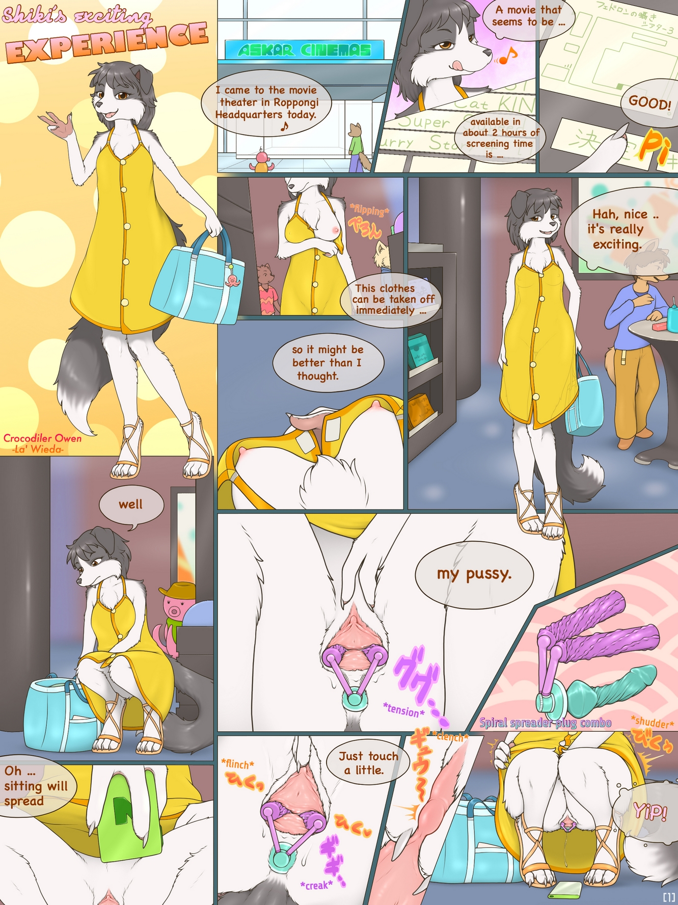 Shiki's Exciting Experience: Act 1 cover