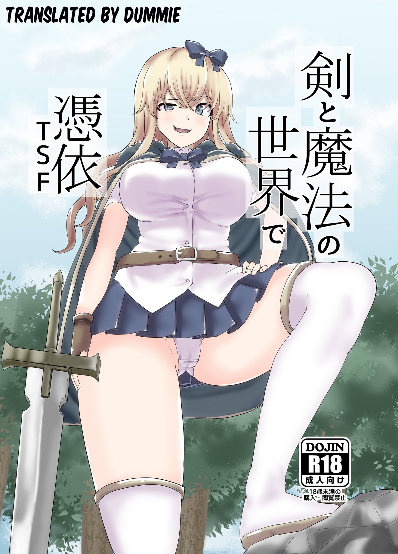 Possession TSF in the World of Swords and Magic cover