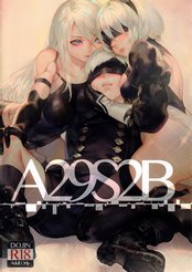 A29S2B cover