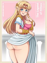 Zelda cover