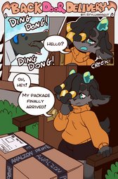Back Door Delivery cover