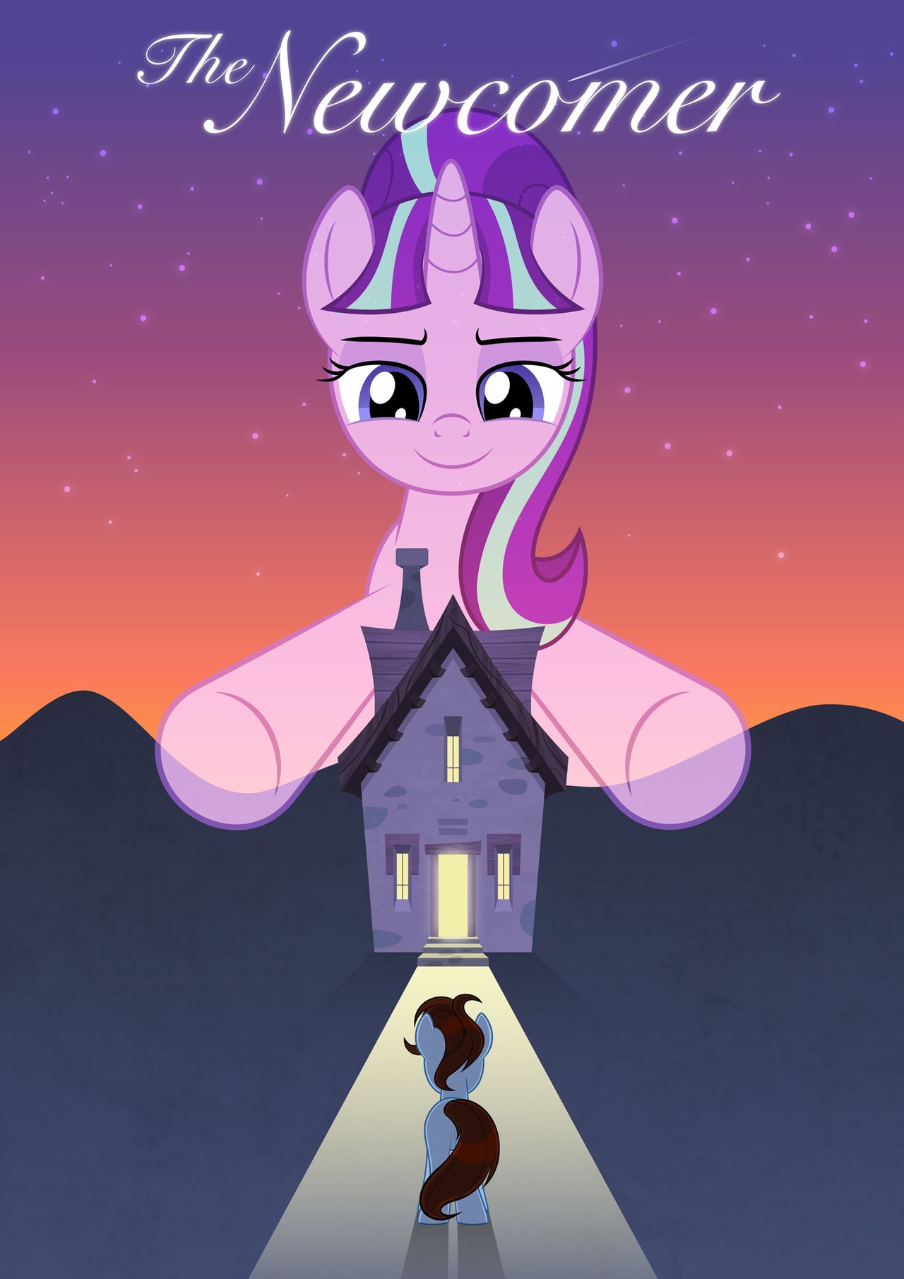 The Newcomer cover