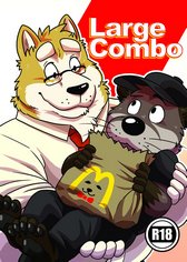 Large Combo cover