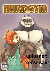 HARDGYM cover