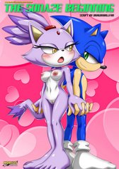 The sonaze beginning cover