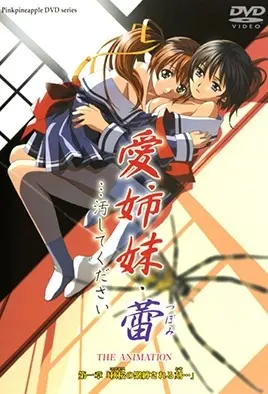 Ai Shimai Tsubomi... Kegashite Kudasai cover