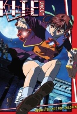 Kite cover