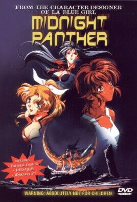 Midnight Panther cover