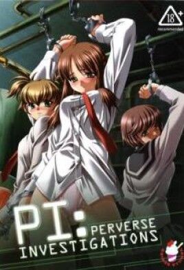 Perverse Investigations cover