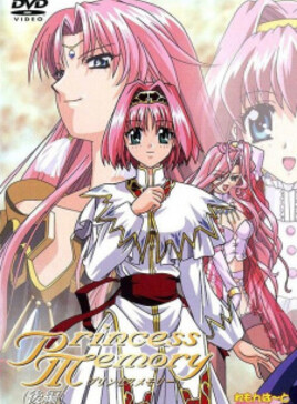 Princess Memory cover