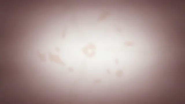 Daisuki na Haha episode 2