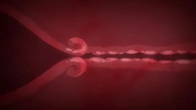 Otome＊Domain episode 1