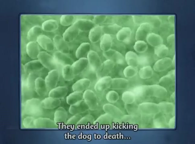 Legend of the Wolf Woman episode 1