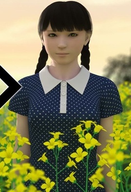 Mura cover
